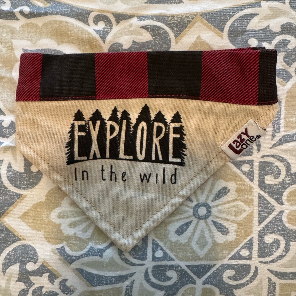 Lazy One Red and Black Checkered Bandana